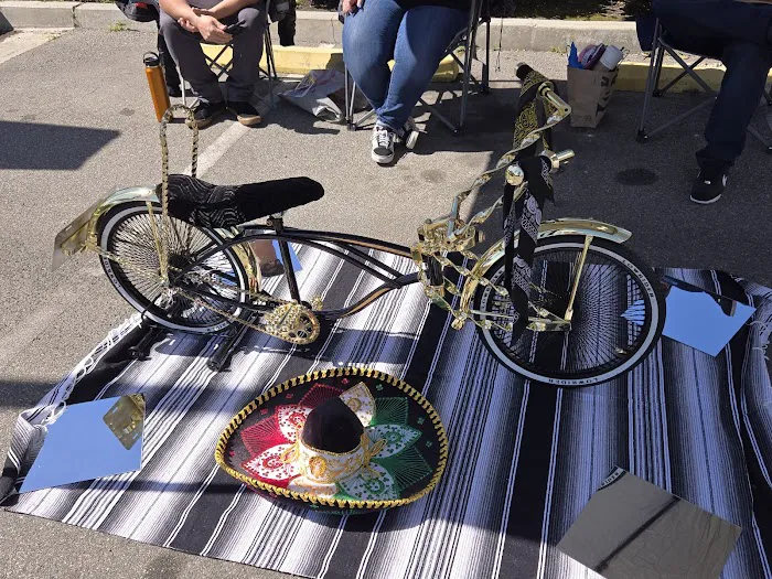 The Family Bike Shop Picture 7