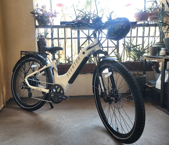 Fullerton Electric Bicycles Picture 3
