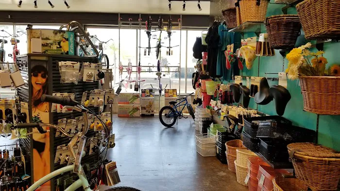 Jax Bicycle Center Picture 2