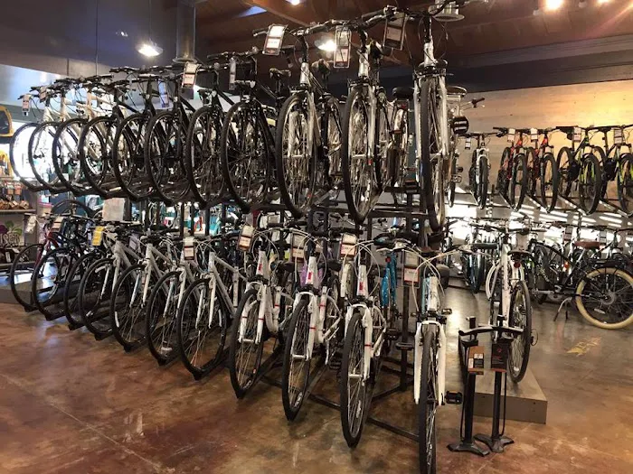 Jax Bicycle Center Picture 8