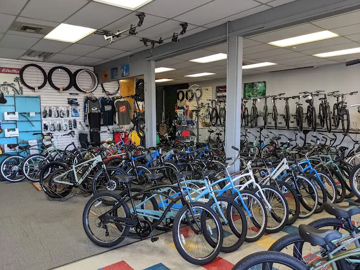 Team Bicycle Shop Picture 6