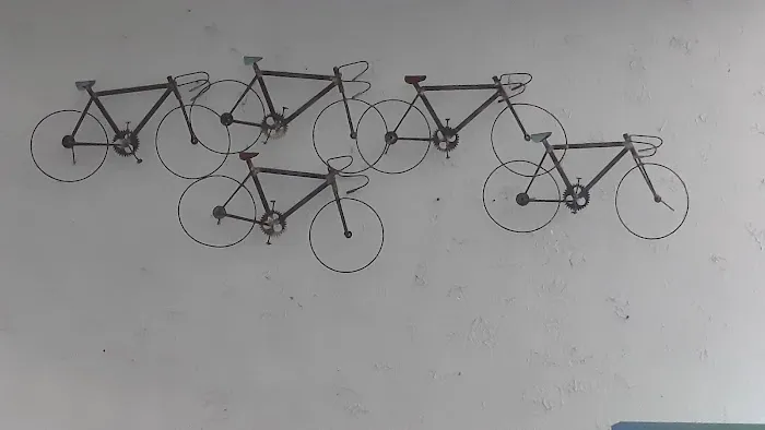 Team Bicycle Shop Picture 5