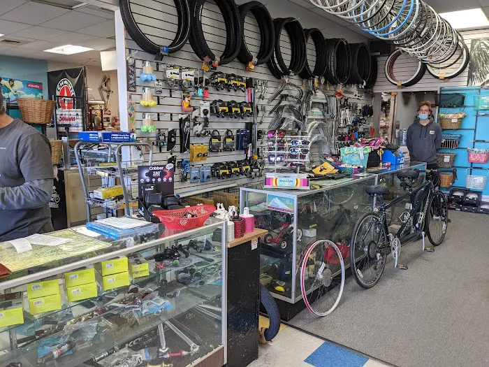 Team Bicycle Shop Picture 2