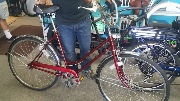 Team Bicycle Shop Picture 9