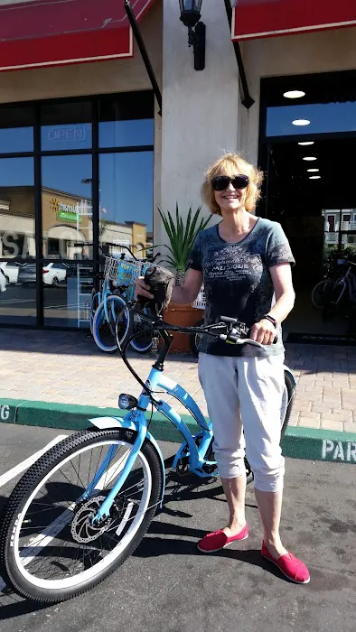 Fresch Electric Bikes Picture 6