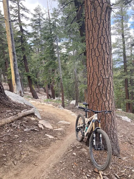 HB Cycles Picture 8