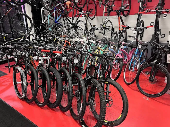 HB Velo Cyclery Picture 9
