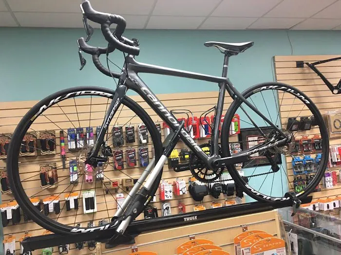 HB Velo Cyclery Picture 10