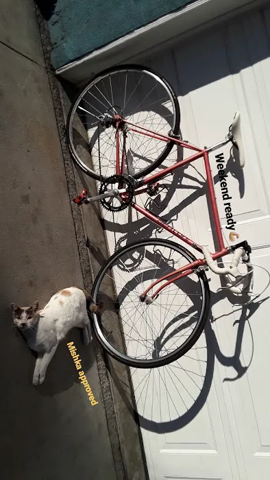 J & M Bike Shop Picture 5