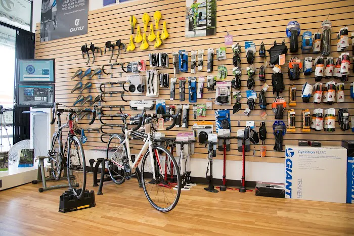 The Cyclery Bike Shop Picture 5