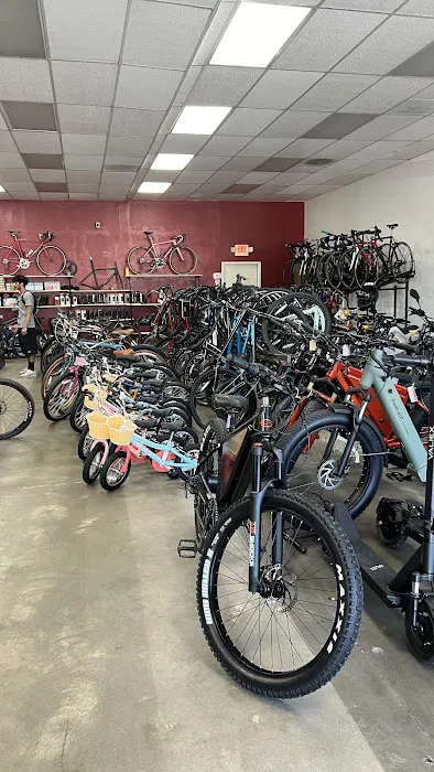 SELA Bicycle Center Picture 1