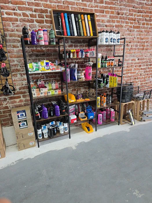 SELA Bicycle Center Picture 4