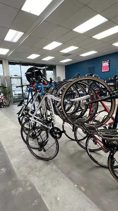 SELA Bicycle Center Picture 5
