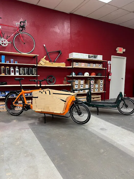 SELA Bicycle Center Picture 6