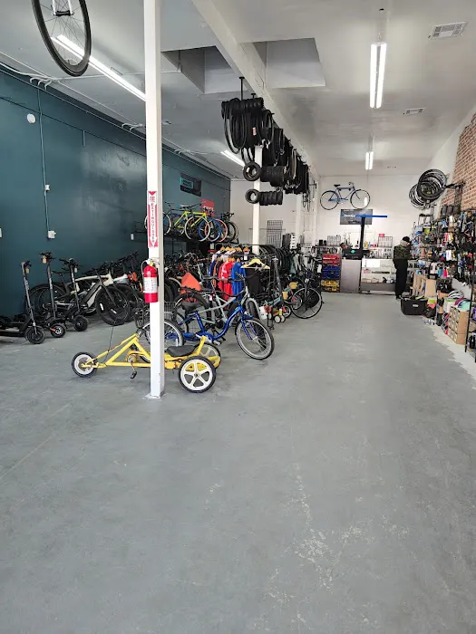 SELA Bicycle Center Picture 9
