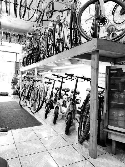 Reyes Bike Shop Picture 5