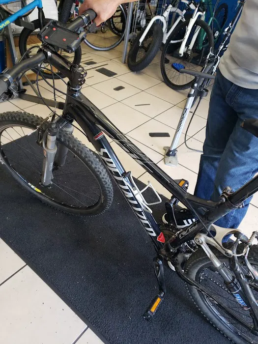 Martin's Bikes Picture 5