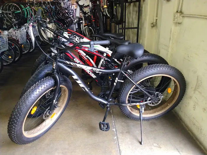 Tony's Bike Picture 6
