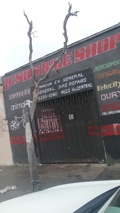 Jesus Bike Shop Picture 1