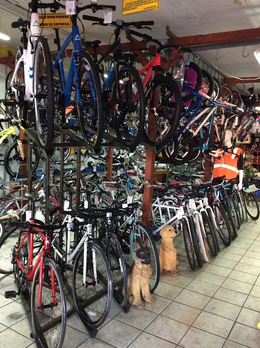 Paisano's Bike Shop Picture 2
