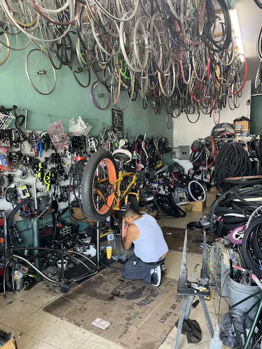 D.C. BIKE SHOP Picture 4