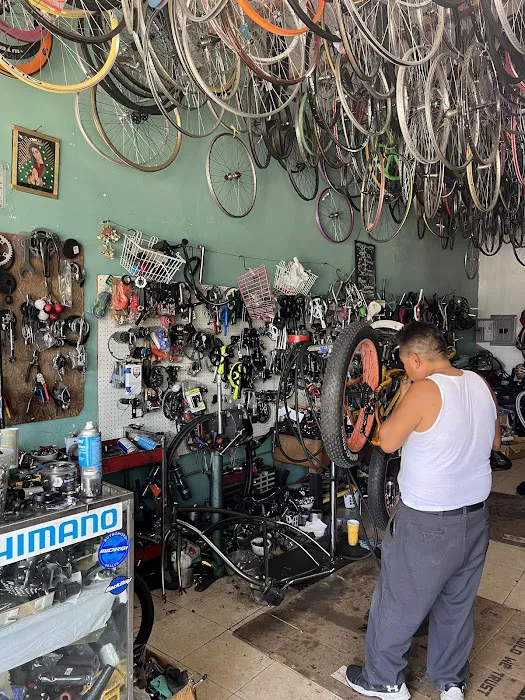 D.C. BIKE SHOP Picture 10
