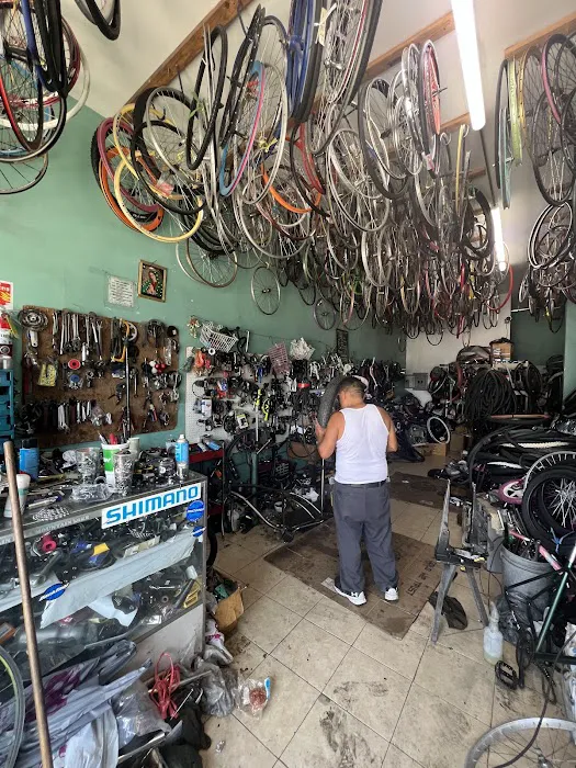 D.C. BIKE SHOP Picture 8