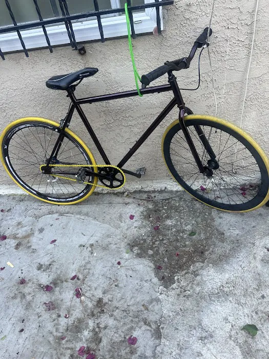 DAG Riders Bicycle Shop Picture 10