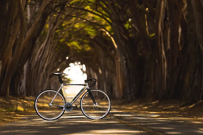 Duke's Bicycles Picture 3