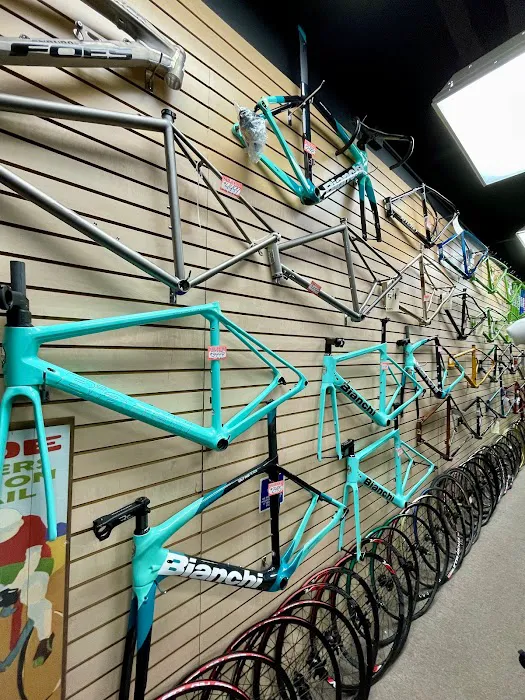 Adrenaline Bike Shop Picture 5