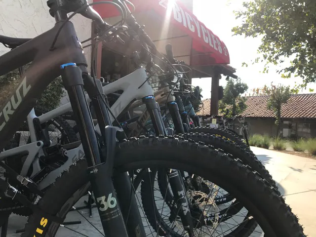 Two Wheeler Dealer Bicycles Picture 2