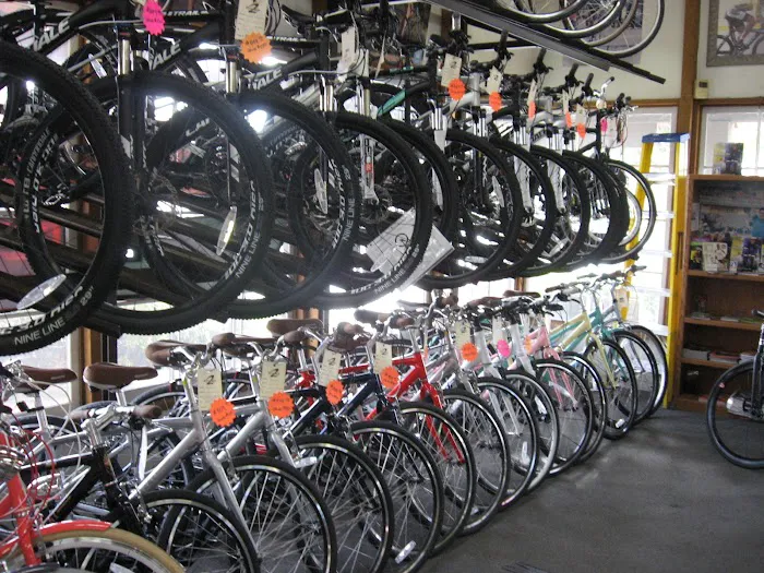 Two Wheeler Dealer Bicycles Picture 6