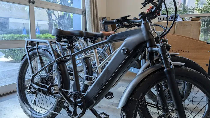 AAA E-Bike Repair Picture 5