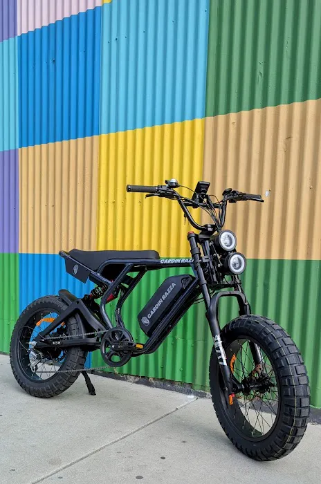 AAA E-Bike Repair Picture 2