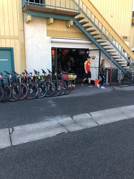 The Path Bike Shop Outlet Store Picture 1
