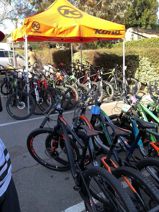 The Path Bike Shop Outlet Store Picture 3