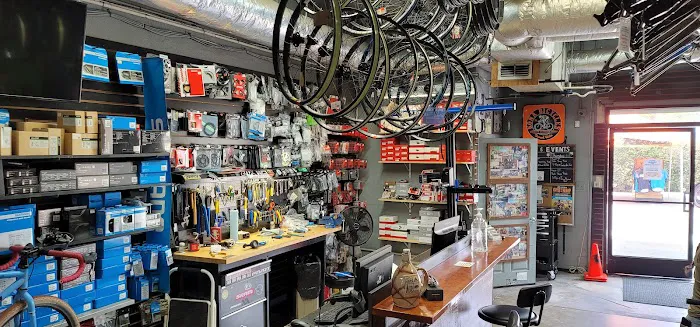 The Path Bike Shop Outlet Store Picture 7