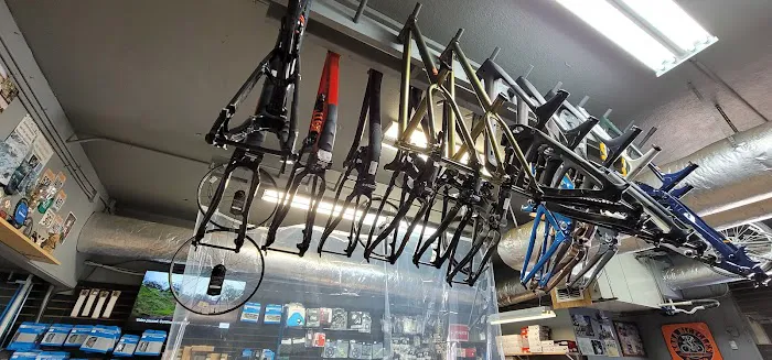 The Path Bike Shop Outlet Store Picture 10