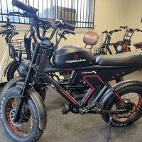 Perraro Electric Bike ico