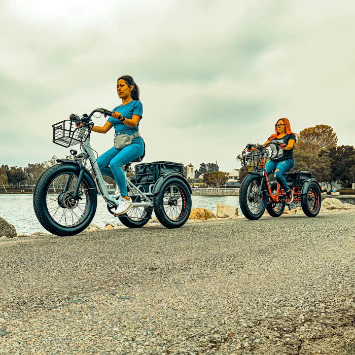 Perraro Electric Bike Picture 2