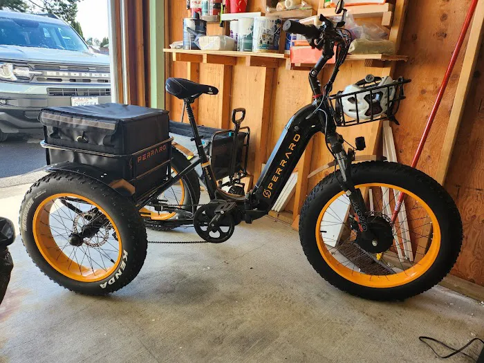Perraro Electric Bike Picture 3
