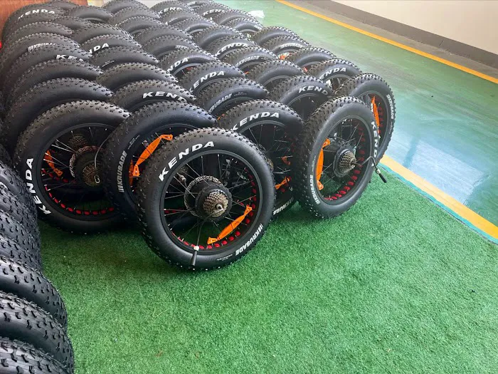 Perraro Electric Bike Picture 5