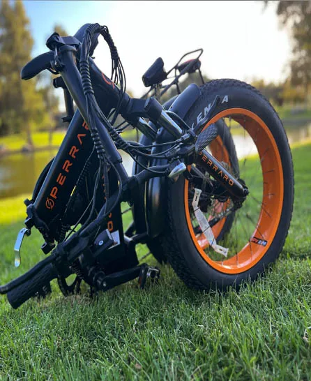 Perraro Electric Bike Picture 9