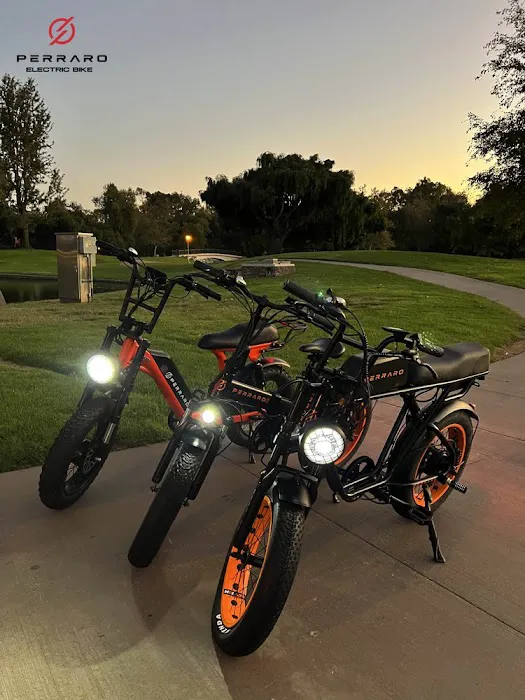 Perraro Electric Bike Picture 10