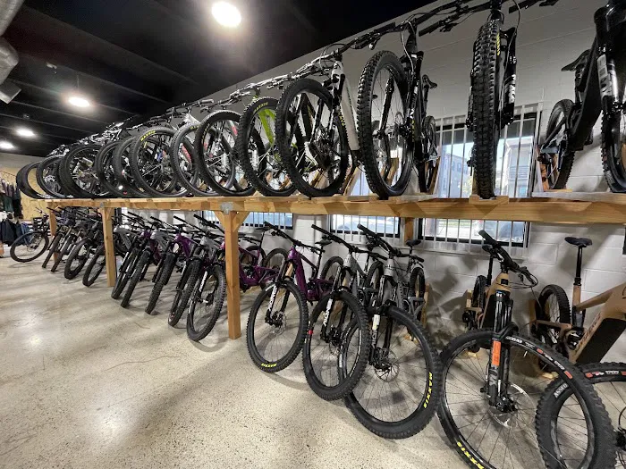 The Path Bike Shop Picture 3