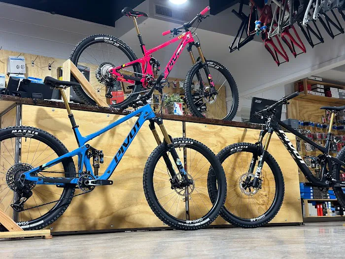The Path Bike Shop Picture 2