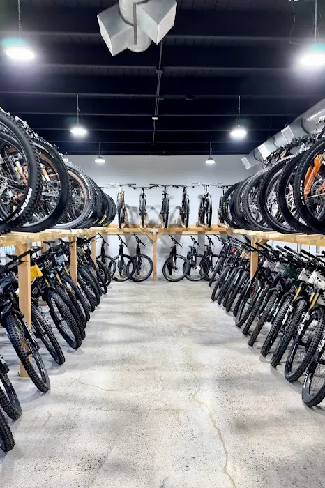 The Path Bike Shop Picture 5