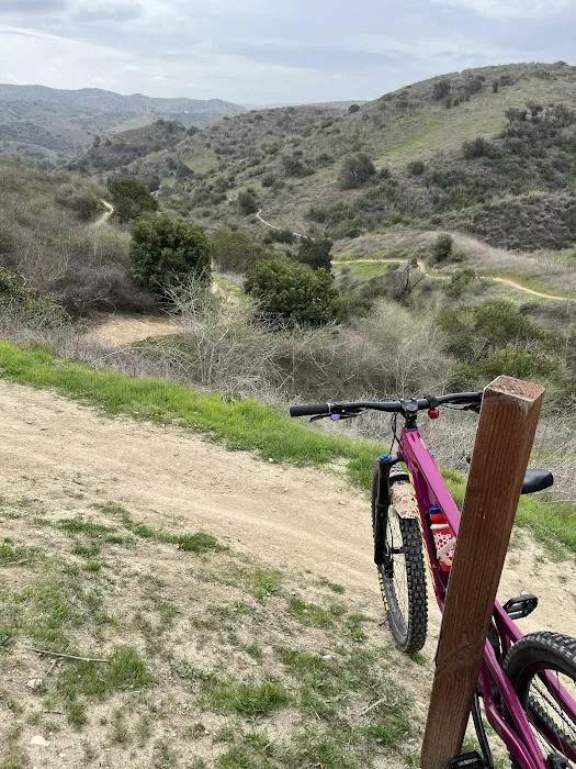 The Path Bike Shop Picture 6