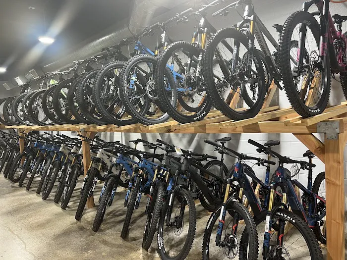 The Path Bike Shop Picture 8
