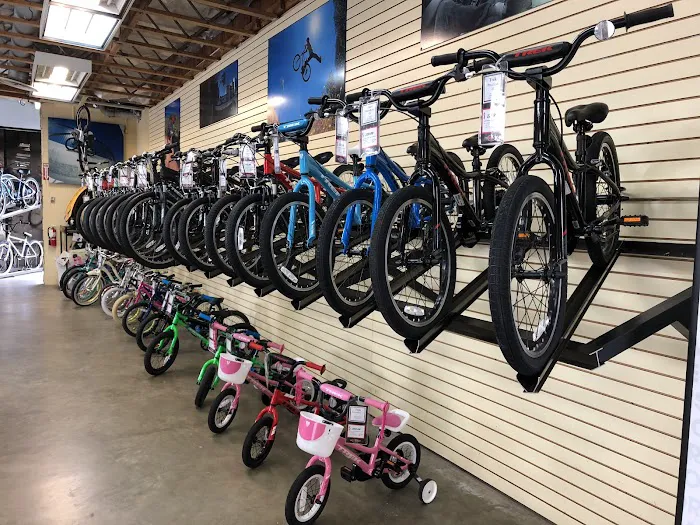 Jax Bicycle Center Picture 8